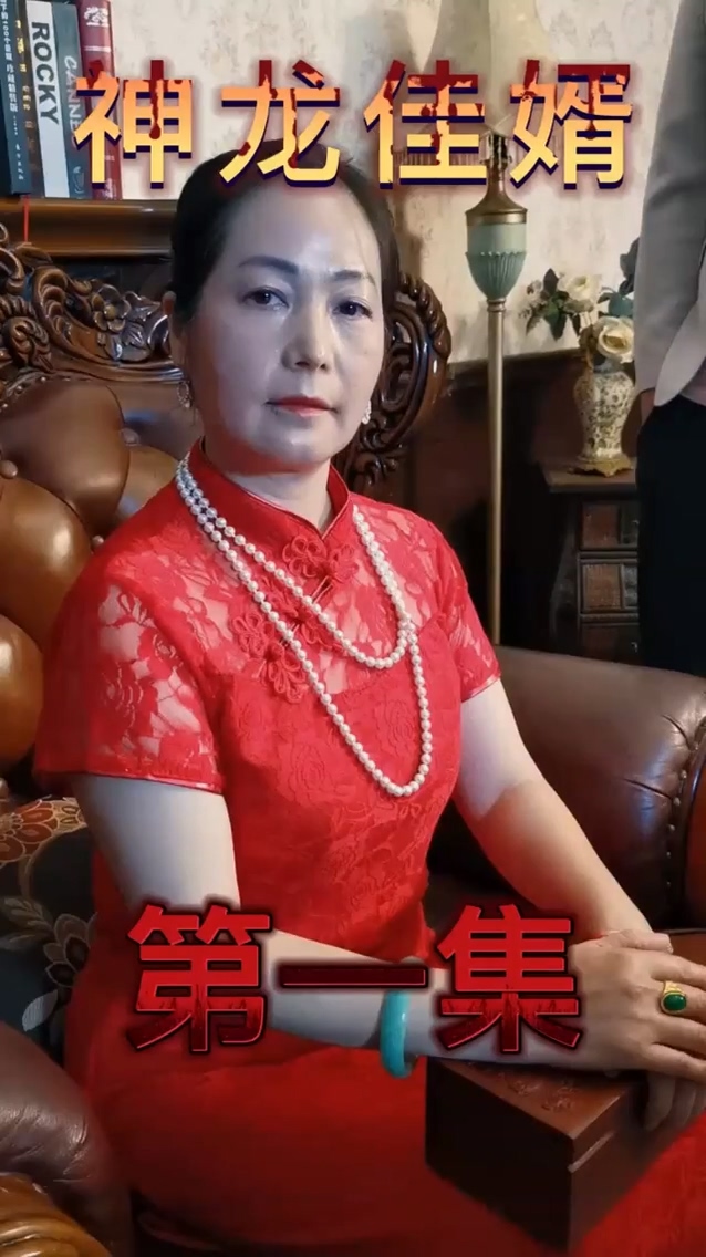 神龙佳婿第05集